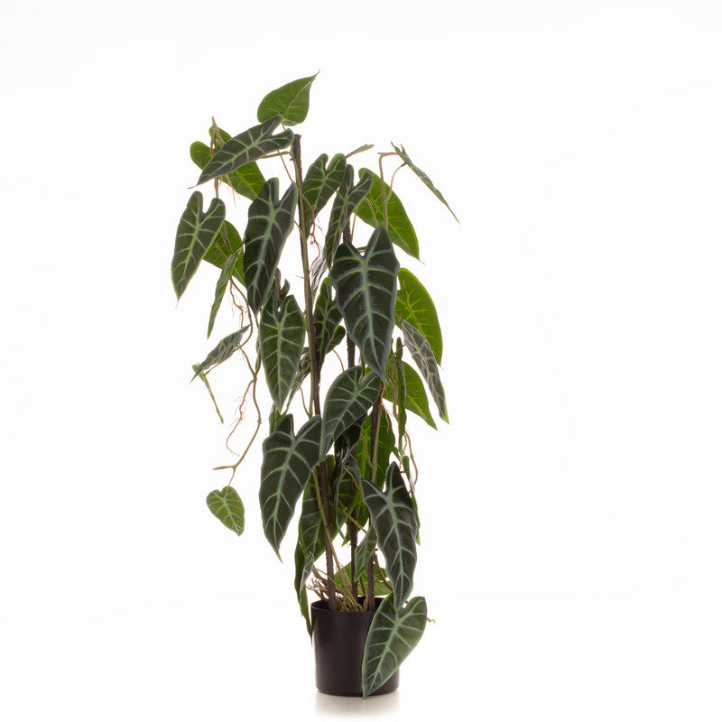 77cm Real Touch Climbing Caladium Elephant's Ear Plant